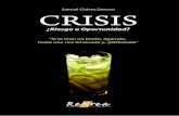 CRISIS - APA (Asociación para la Prevención de Accidentes) crisis.pdf · 2015-12-11 · Fue, desde luego, una profecía que no tardó en cumplirse, a pesar de que la televisión