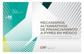 MECANISMOS ALTERNATIVOS DE FINANCIAMIENTO A PYMES … · Mecanismos alternativos de financiamiento a pymes en México Los casos de Cadenas Productivas, garantías (Nafin) y arrendamiento