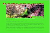 El bello pavo verdeEl bello pavo verdecomo cola del pavo real, la falsa cola superior comprende alrededor de 100-150 plumas, que miden entre 1,40- 1,60 metros. Cuando el ave despliega