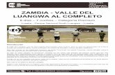 Zambia - Valle del Luangwa - Premiumtheafricanexperiences.com/data/downloads/Zambia_Valle... · 2016-08-15 · ZAMBIA - VALLE DEL LUANGWA AL COMPLETO 8 días – 7 noches ... (comida