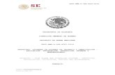 SECRETARÍA DE ECONOMÍA DIRECCIÓN GENERAL DE NORMAS ... · secretarÍa de economÍa direcciÓn general de normas proyecto de norma mexicana proy-nmx-s-069-scfi-2019 seguridad- sistemas