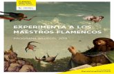 EXPERIMENTA A LOS MAESTROS FLAMENCOS Programa Bruegel 2019… · maestros flamencos in situ. oct. ubre / bruselas y amberes. lls paleis / loca meg, rebeliÓn - provocaciÓn - desesperaciÓn