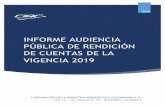 INFORME AUDIENCIA PÚBLICA DE RENDICIÓN DE ......Frente al nivel de satisfacción de los ciudadanos participantes frente a la Audiencia de Rendición de Cuentas de la CIAC de 2019