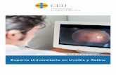 Experto Universitario en Uveitis y Retina · PDF file Experto Universitario en Uveitis y Retina 4 1. PRESENTACIÓN. La retina es un foco de interés en el campo de la oftalmología