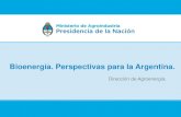 Dirección de Agroenergía - Argentina.gob.ar · Sustentabilidad –Indicadores de Sustentabilidad de la Bioenergia Biogás Relevamiento de biodigestores a diferentes escalas Asesoramiento