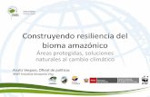 Áreas protegidas, soluciones naturales al cambio climático · A total of 134 (or 34.81%) protected areas are facing high risk; these protected areas cover 345,000 km2, or 18.58%