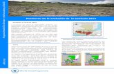 Monitoreo de la evolución de la Canícula 2015 entosreliefweb.int/sites/reliefweb.int/files/resources/...Retalhuleu, Santa Rosa y Escuintla). ... 1 junio 2015 Mapa 1 Pronóstico de