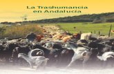 La Trashumancia en Andalucía Transhumancia_ASOC.pdf · la dominación romana de la Península Ibérica, alcanzando su máximo esplendor en las Normas para los Reinos de Levante (de