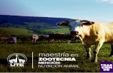 maestría en ZOOTECNIA · Doctor en Medicina Veterinaria y Zootecnia por la Universidad Central del Ecuador, Magíster en Producción Animal y Doctor en Veterinaria por la Universidad