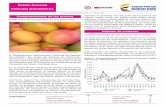 Reducción en los precios de los alimentos - Agronetbibliotecadigital.agronet.gov.co/bitstream/11438/8429/1/Sem_12nov… · La mora es una de las principales frutas en la canasta