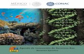 Agenda de Innovación de Quintana Rootransparencia.qroo.gob.mx/documentos/2017/05/5c69bd03ffac7823… · PB 1 El Índice Mundial de Innovación 2014, ... Elías Micha Mensaje del