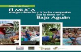 Estudio de Caso El MUCA Bajo Aguán - CESPADcespad.org.hn/wp-content/uploads/2017/06/Estudio-de-casoMUCA-A… · La Lempira, La Aurora y La Confianza; así como los proyectos que