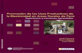 Promoción de los Usos Productivos de la Electricidad en ...€¦ · Promoción de los Usos Prodcuctivos de la Electricidad en Areas Rurales de Perú: Experiencia y Lecciones Aprendidas
