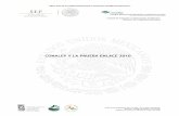 CONALEP Y LA PRUEBA ENLACE 2010conalep.edu.mx/academicos/Documents/enlace/InformeConalepEnla… · “2013, Año de la Lealtad Institucional y Centenario del Ejército Mexicano”