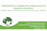 Adaptación y mitigación subnacional al cambio climático Carlo Delgado__ESP.pdfTransferencia de riesgo desde esquemas financieros / Aseguramiento / Alianzas público-privadas para