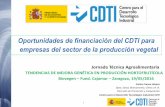 Oportunidades de financiación del CDTI para empresas del ... · Dirección de Promoción y Cooperación Centro para el Desarrollo Tecnológico Industrial-CDTI Oportunidades de financiación