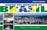 MAPEO DEL MERCADO DE - servicios.procomer.go.crservicios.procomer.go.cr/aplicacion/civ/documentos... · MAPEO DEL MERCADO DE 1 I. Introducción 2 II. Caracterización de Brasil 3