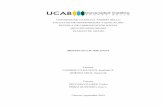 UNIVERSIDAD CATÓLICA ANDRÉS BELLO TRABAJO DE GRADObiblioteca2.ucab.edu.ve/anexos/biblioteca/marc/texto/AAT... · 2016-05-19 · Periodismo de datos y con el de investigación. La