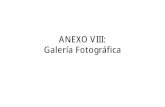 ANEXO VIII: Galería Fotográficafestival del premio a agentes del sector turistlco,situados en municipios de la provincia de avila menores de 20.000 habitantes, a la mejor iniciativa