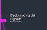 Efectos nocivos del Cigarrillocolegiomontedeasis.cl/wp-content/uploads/2015/03/PPt... · Sistema respiratorio Al aspirar el humo del cigarrillo, todas las sustancias dañinas que