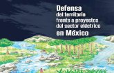 Defensa del territorio frente a proyectos · Instituto Mexicano para el Desarrollo Comunitario (IMDEC) Movimiento Mexicano de Afectados por la Presas y en Defensa de los Ríos (MAPDER)