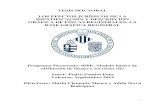 TESIS DOCTORAL LOS EFECTOS JURÍDICOS DE LA … · 2017-04-22 · LOS EFECTOS JURÍDICOS DE LA IDENTIFICACIÓN Y DESCRIPCIÓN GRÁFICA DE FINCAS REGISTRALES: LA BASE GRÁFICA REGISTRAL