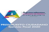 Presentación de PowerPoint - Aguascalientes · 2020-01-28 · dependencia presupuesto asignado 2020 % secretarÍa de seguridad publica y transito municipal $918,544,287 24.78% secretarÍa