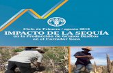 Ciclo de Primera / agosto 2012 IMPACTO DE LA SEQUÍAsantic.rds.hn/wp-content/uploads/2013/06/impactos... · Fuente: FAO. Honduras, agosto 2012 60 20 20 42 42 82 14 20 14 71 9 9 82