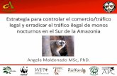 Estrategia para controlar el comercio/tráfico legal y ...Captura de monos nocturnos La deforestación asociada es alta: Se talan entre 15m - 100m (Aquino y Encarnación, 1994) de