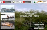 AVANCES MANGLARES - PERÚcpps.dyndns.info/cpps-docs-web/planaccion/docs2018/Marzo...San Pedro de Vice Los manglares de San Pedro de Vice (Piura) es un sitio RAMSAR, con un área aproximada