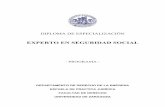 Universidad de Zaragoza - EXPERTO EN SEGURIDAD …...Tema 23.— Particularidades de las cotizaciones y de las prestaciones en los regímenes especiales de Empleados de Hogar, Minería