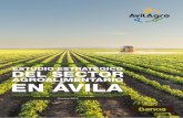AGROALIMENTARIO EN ÁVILA - Avilagro · poner de manifiesto la necesidad de que el sector agroalimentario abulense sea proactivo y se adelante, en la medida de sus posibilidades,