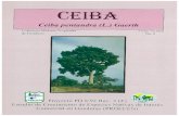 Gaerth (L.) Ceiba pentandra Colecci6n Maderas Tropicales ... 92/pd 8-92-5-6 rev 2 (F) .pdfCrecimiento de Ceiba pentandra (Ceiba) a la Edad de 24 Meses en Tres Sitios Experimentales.
