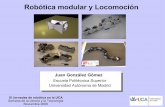 Robótica modular y Locomoción€¦ · Robótica modular reconfigurable(I) En 1994, Mark Yim ,en su tesis doctoral introdujo una nueva idea para abordar el problema de la locomoción:
