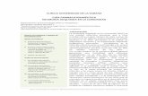 CLINICA UNIVERSIDAD DE LA SABANA GUÍA …clinicalevidence.pbworks.com/w/file/fetch/63187327... · Tabla 2. Criterios de Severidad de Neumonía Adquirida en la comunidad Criterios
