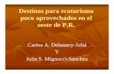 Recinto Universitario de Mayagüez - Carlos A. DelannoyCarlos A. …academic.uprm.edu/prt2/Presentations/Cumbre_2009/Destin... · 2011-01-19 · Canales de Riegoo--Isabela.Isabela.