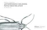 PINTA Y CALCA II ARTRÓPODOS CHILENOS: PATAS QUE …ARTRÓPODOS CHILENOS: PATAS QUE DELATAN Dirección de Bibliotecas, Archivos y Museos 2016. Director de Bibliotecas, Archivos, y