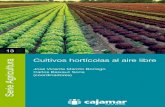Cultivos hortícolas al aire libre - Revista de Flores, Plantas, … · 2017-05-29 · Queda prohibida la reproducción total o parcial de esta publicación, así como la edición