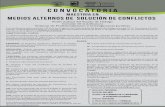 Convocatoria - Poder Judicial del Estado de Hidalgo · MEDIOS ALTERNOS DE SOLUCIÓN DE CONFLICTOS PRIMERA: El Programa Académico (Maestría en Medios Alternos de Solución de Conﬂictos)