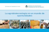 La agrobiotecnología en un mundo de oportunidadesfediap.com.ar/wp-content/uploads/2018/07/Presentacion-Lic.-Maria-d… · Organismos Genéticamente Modificados (OGM), incluyendo