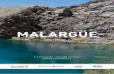 MALARGÜE - Becas, Proyectos, Energía del Futuro · y del Gobierno de la provincia de Mendoza; y representantes del sector privado y la sociedad civil de Malargüe. El esfuerzo y