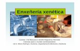 Enxeñería xenética - Galiciacentros.edu.xunta.es/.../bio/bach_1_ccmc_2010_2011/... · Enxeñería xenética Fragmentar o ADN. Analizar os fragmentos de ADN: probas de ADN. Hibridación