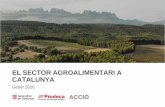 Mapping sector agroalimentari a Catalunya sector... · Representació gràfica del pes en volum d’exportacions des de Catalunya segons categories 1.8. Cadena de valor –Segona