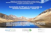 Presentación de PowerPoint · 2018-05-30 · ecorregiones representativos del Perú Formulación de PIP para la conservación de servicios ecosistémicos –sesión 12 CASO: Recuperación