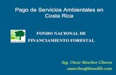 Pago de Servicios Ambientales en Costa Ricaoas.org/dsd/Events/english/PastEvents/EUWksp/... · AMBIENTALES (PSA) Los bosques no solo producen madera, también: 1. Mitigación de emisiones