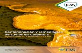 Contaminación y remediación de suelos en Colombia · 2018-07-19 · Contaminación y remediación de suelos en Colombia Aplicación a la minería de oro José Alejandro Martínez