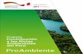 Programa Contribución a las Metas Ambientales del Perú...descentralizados de gestión ambiental y forestal, incluyendo a los actores relevantes de la sociedad civil, el sector privado