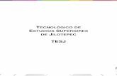 TECNOLÓGICO DE ESTUDIOS SUPERIORES DE JILOTEPEC TESJtransparenciafiscal.edomex.gob.mx/sites/transparencia... · 2019-06-14 · Flujos Netos de Efectillo por Activid;,des de Financ;;Jmiento