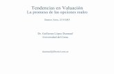 Dr. Guillermo López Dumrauf Universidad del Cemagl24/Slides/Seminario_Cema_25-9-03.pdf · capturan el elemento “flexibilidad” en el proceso de “decision-making”. Financial