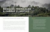 BOSQUES TROPICALES & CAMBIO CLIMÁTICOrfp.org/wp-content/uploads/2019/09/IRI_IssuePrimer_TropicalForestsClimate...El Panel Intergubernamental sobre Cambio Climático informa que solo